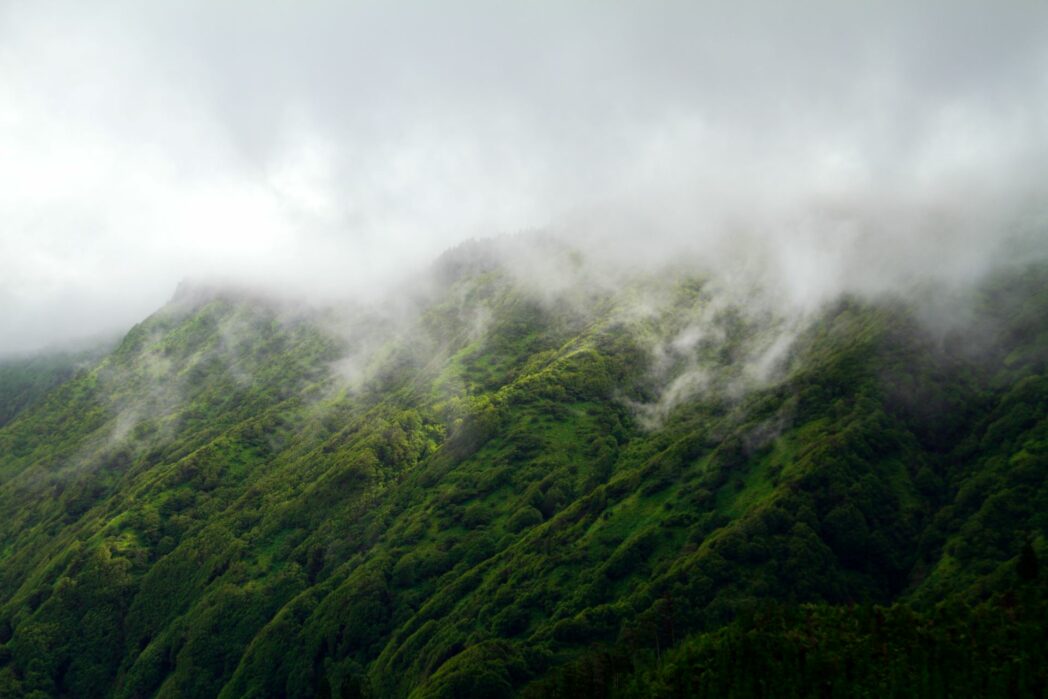 mists on a green mountaintop in khao yai thailand