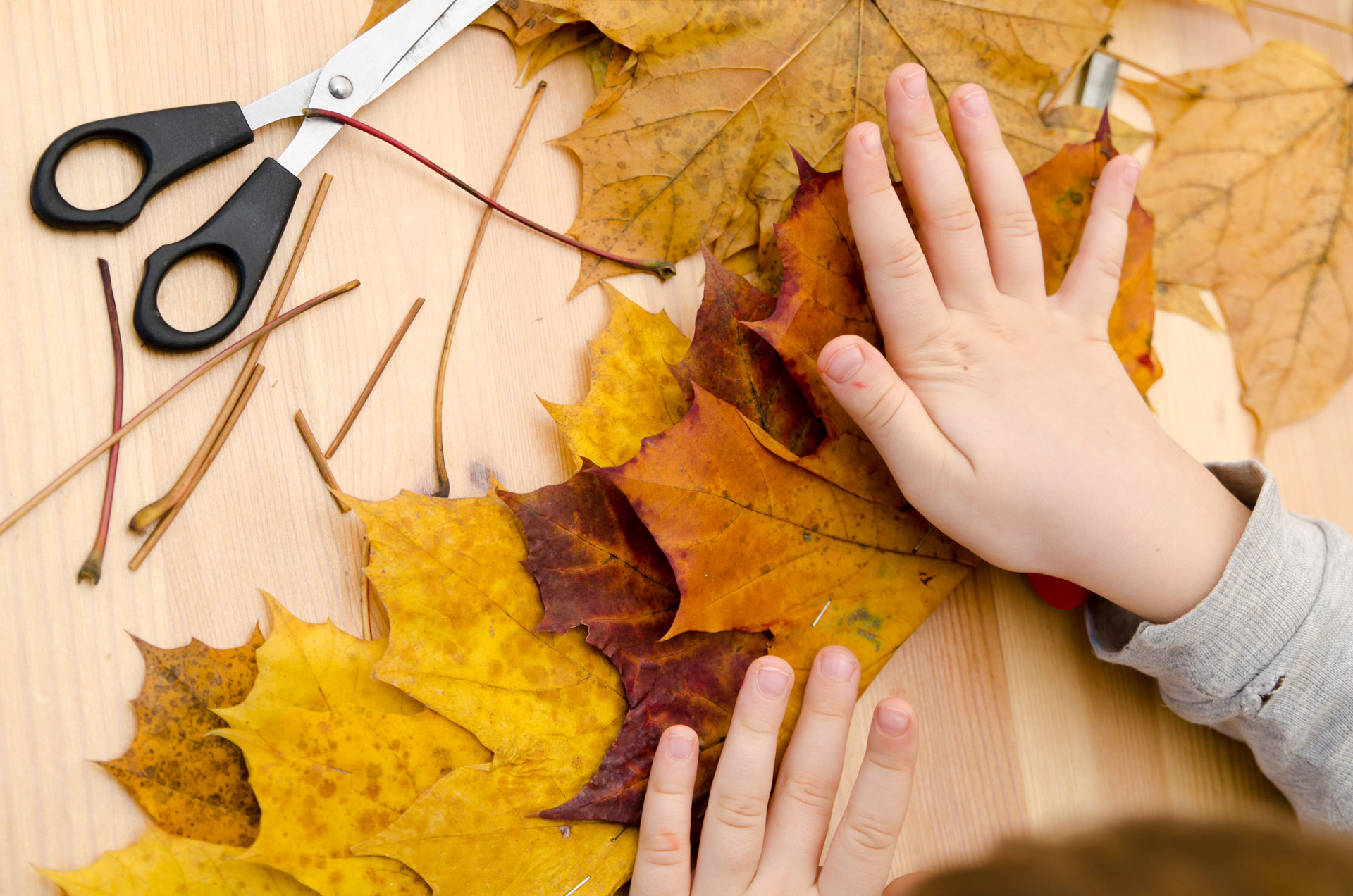 kid craft project with autumn leaves and scissors
