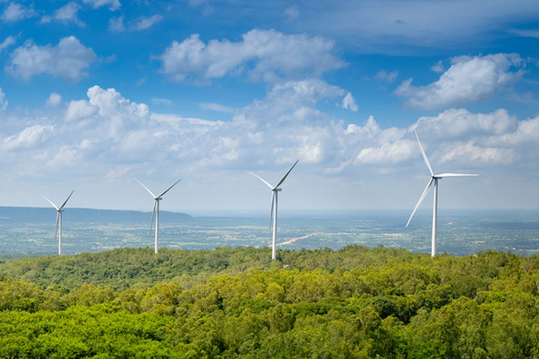a green forest landscape with windmills and blue skies