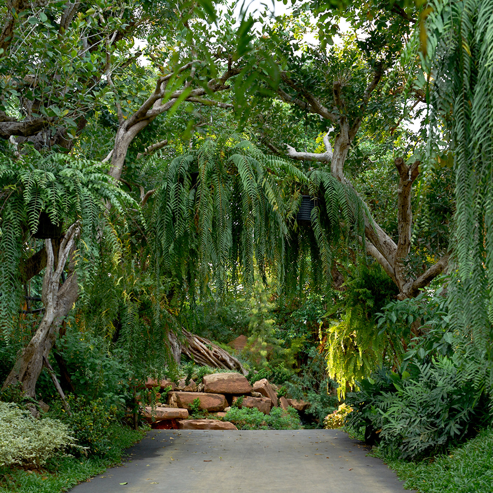 a botanical garden path at intercontinental khao yai resort