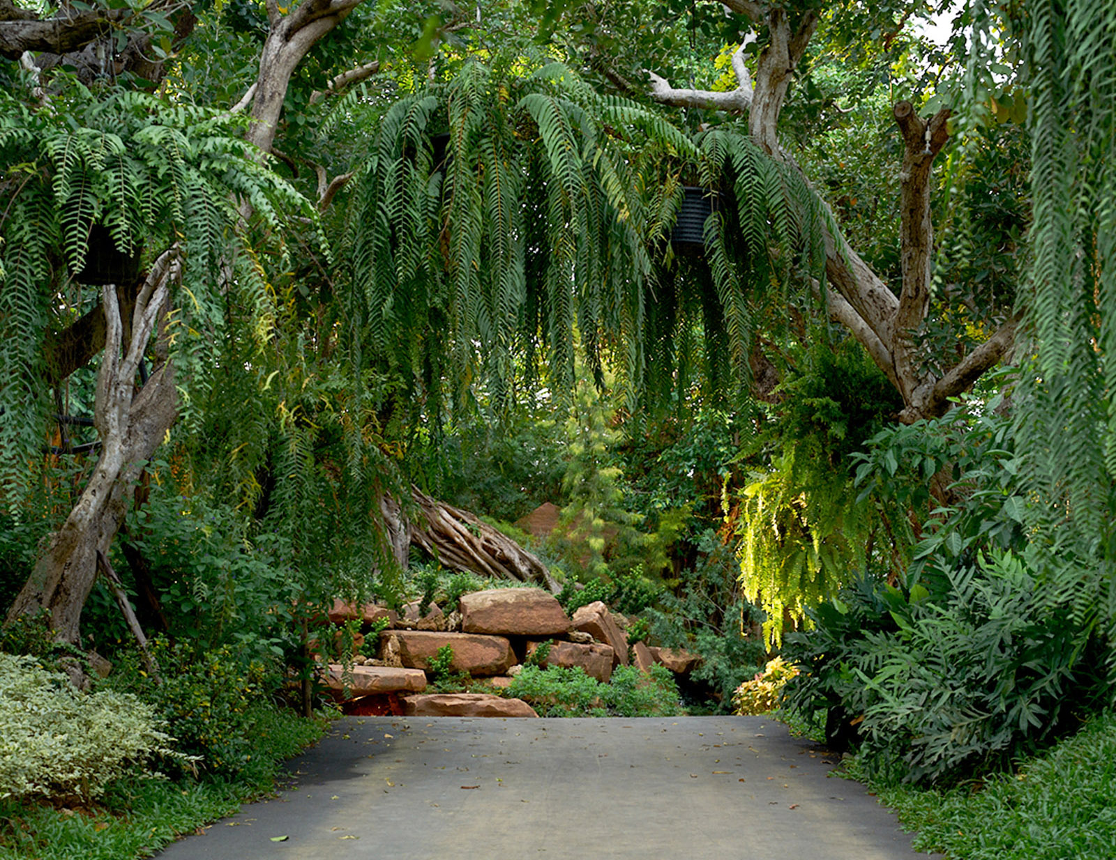 ทางเดินในสวนพฤกษศาสตร์ที่ อินเตอร์คอนติเนนตัล เขาใหญ่ รีสอร์ต ประเทศไทย