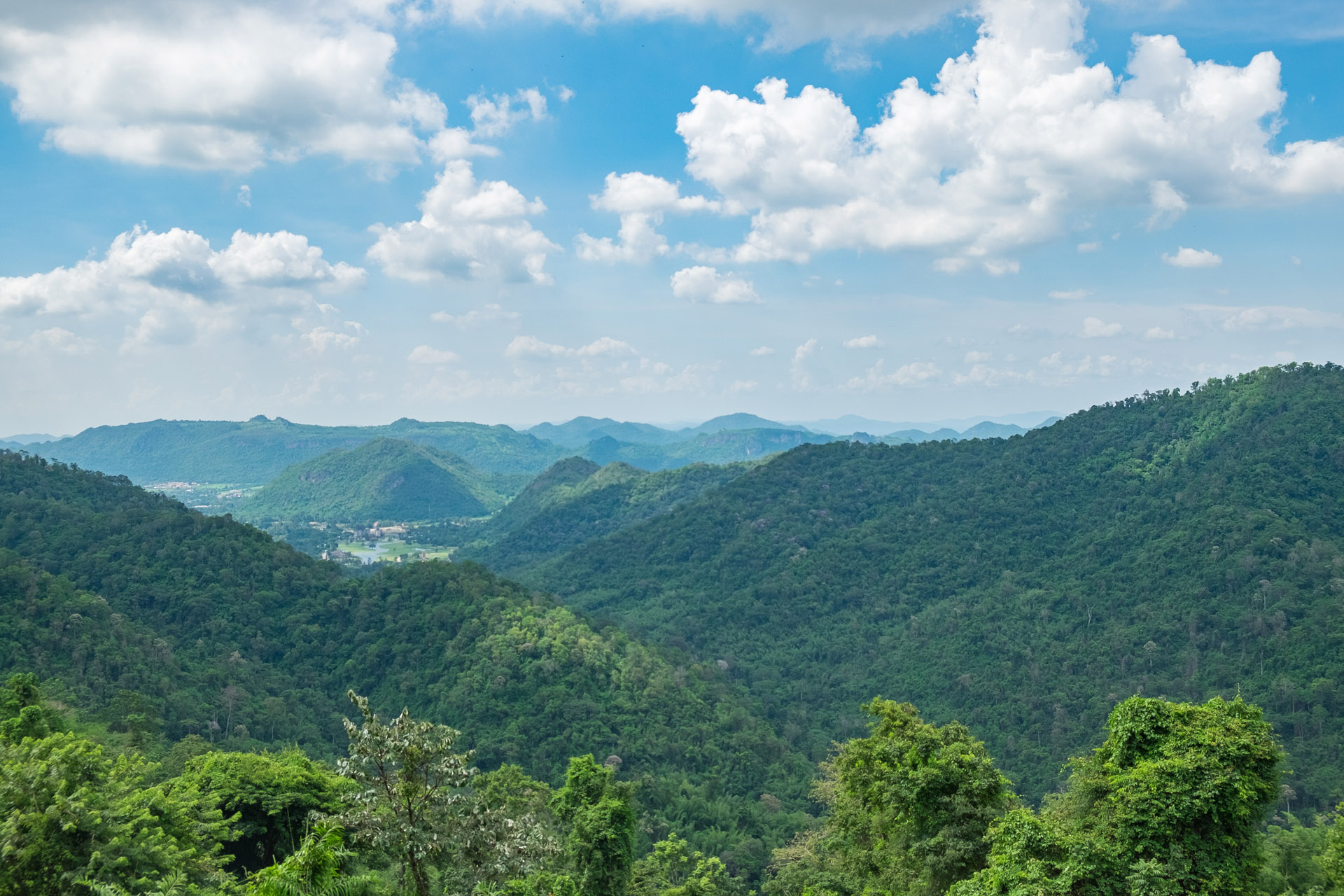 หุบเขาเขียวขจีใน เขาใหญ่ ประเทศไทย