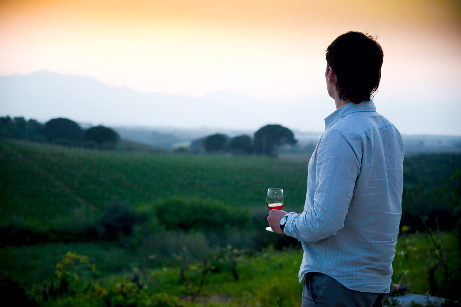 man holding a wineglass looking out over a misty pasture