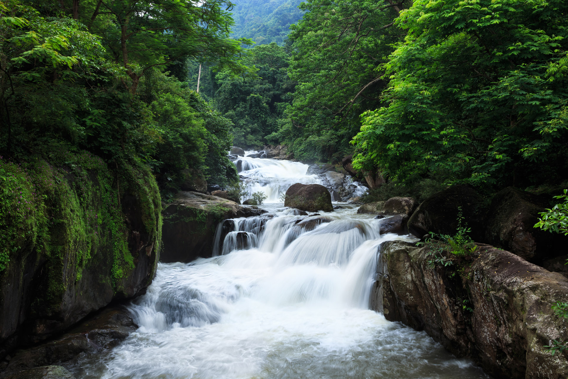 nang rong waterfall in khao yai national park thailand