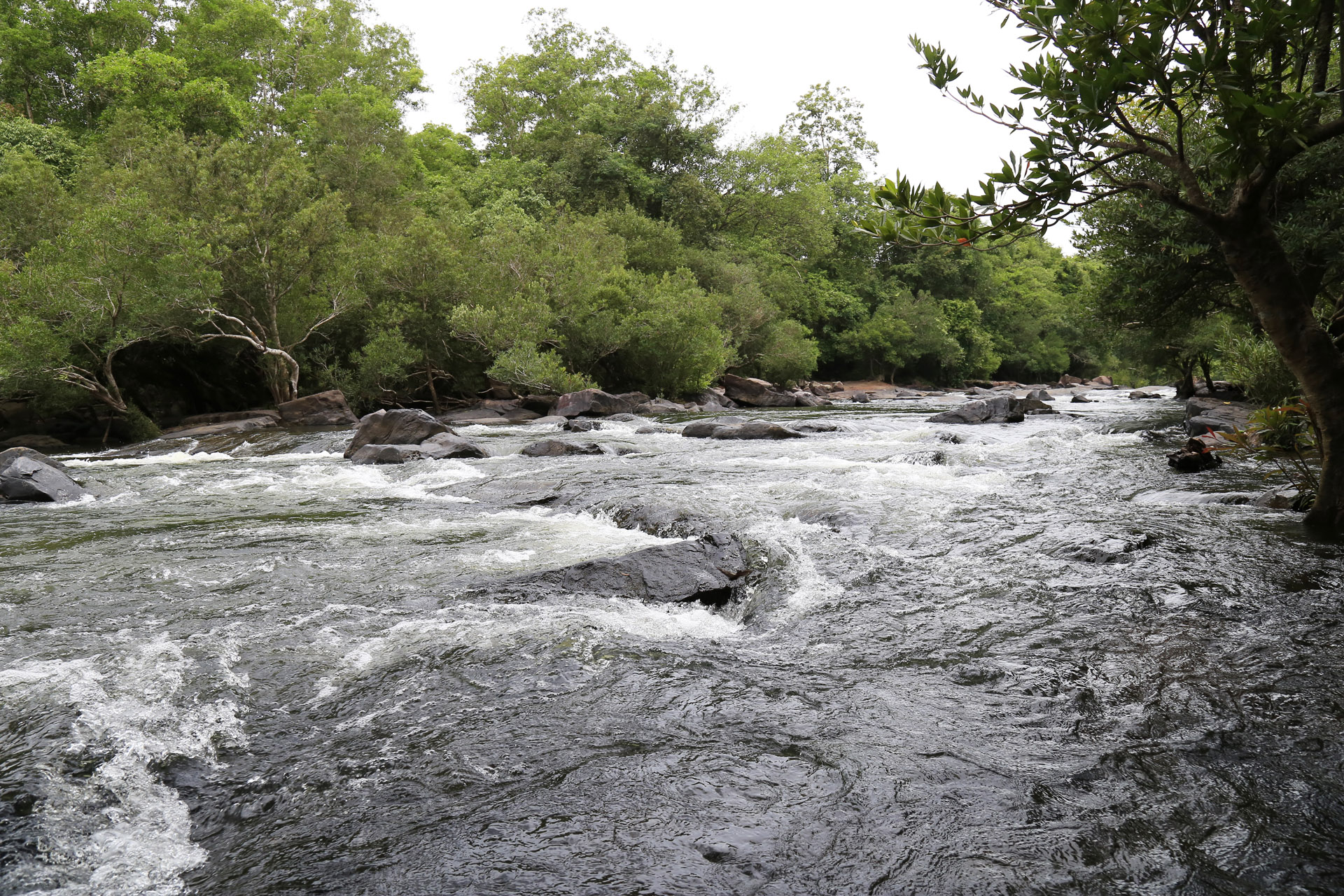 fresh water rapid streams khao yai national park thailand