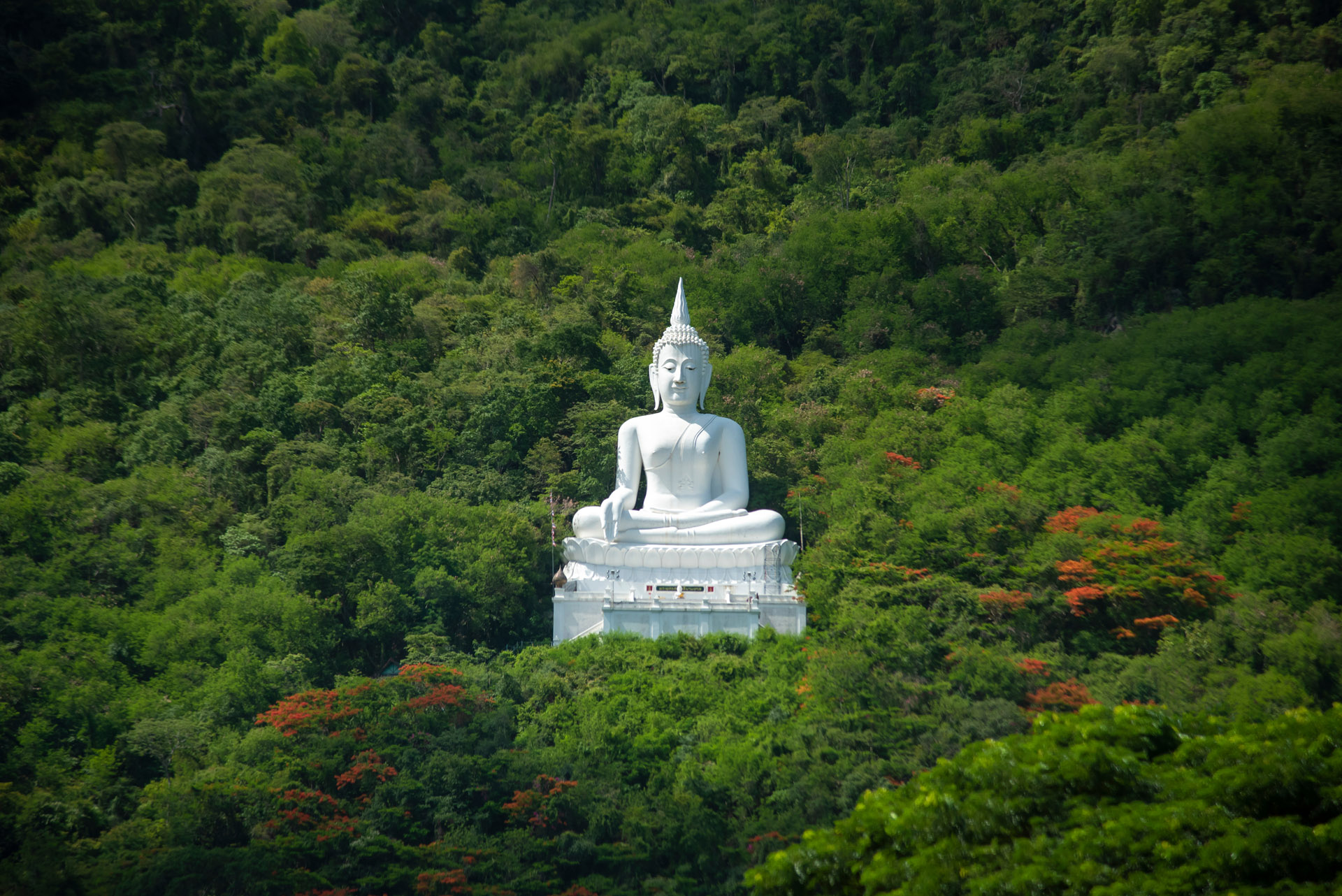 hillside buddha statue at wat thep phitak punnaram khao yai thailand